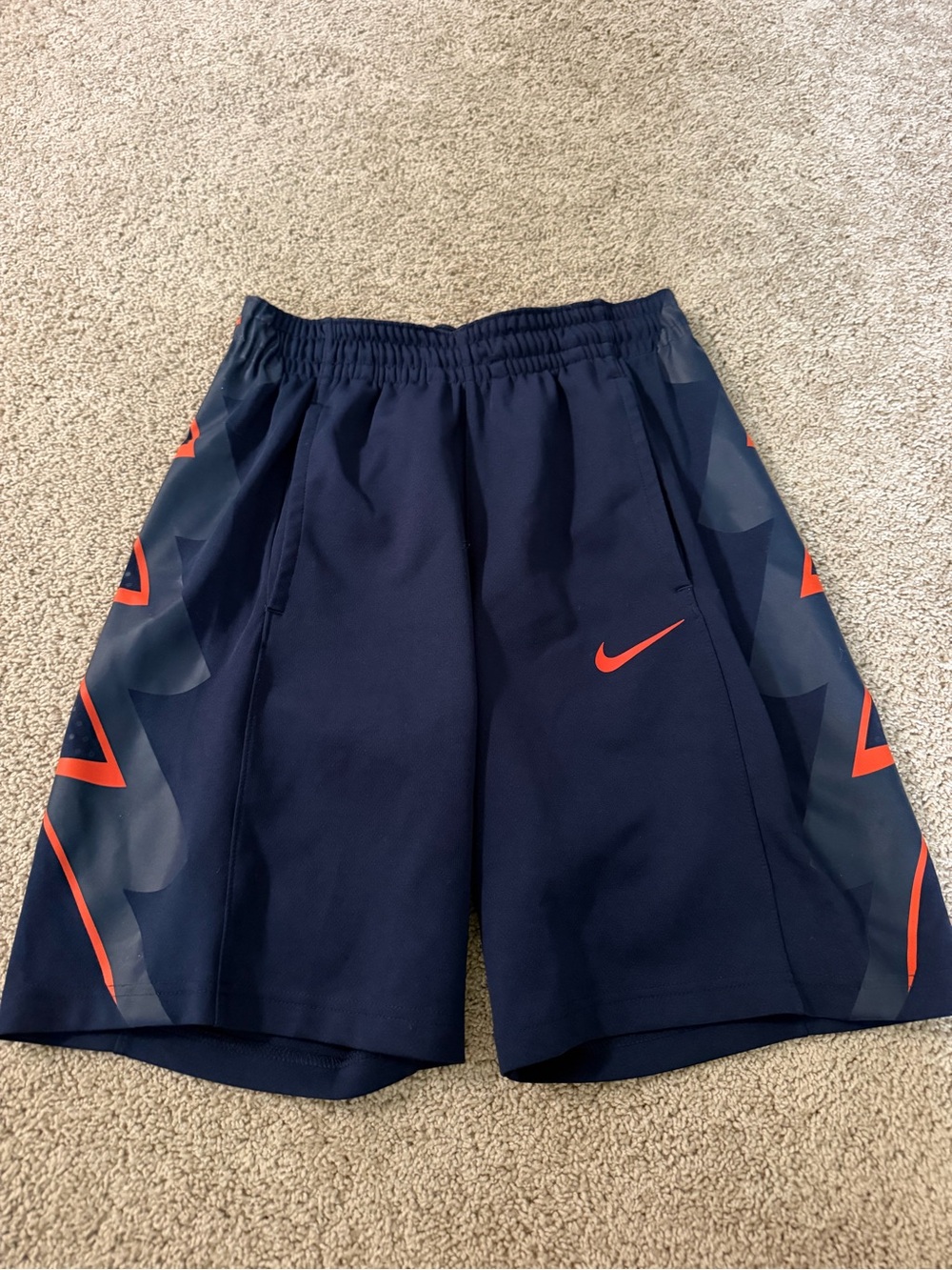 Nike Illinois shorts
